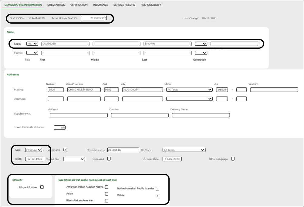 snippet of Demographic Information tab with elements highlighted