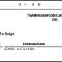 payroll_acount_code_comparison_report.jpg