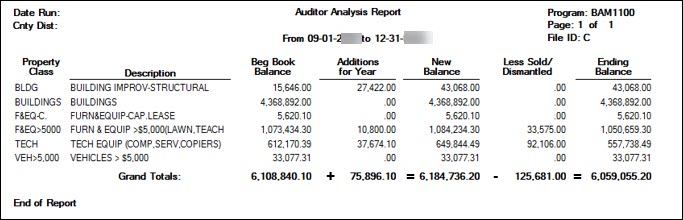BAM1100 Auditor Analysis Report