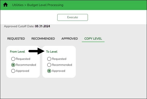 Budget Level Processing Copy Level