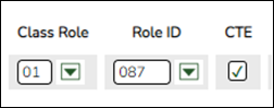 Section Tab with Class Role, Role ID and CTE selected