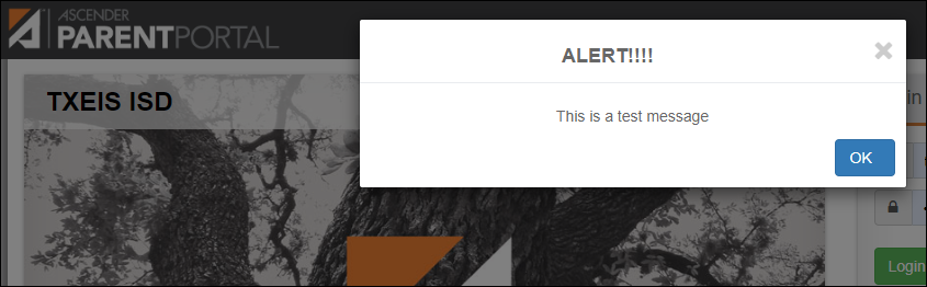 Alert message pop-up window