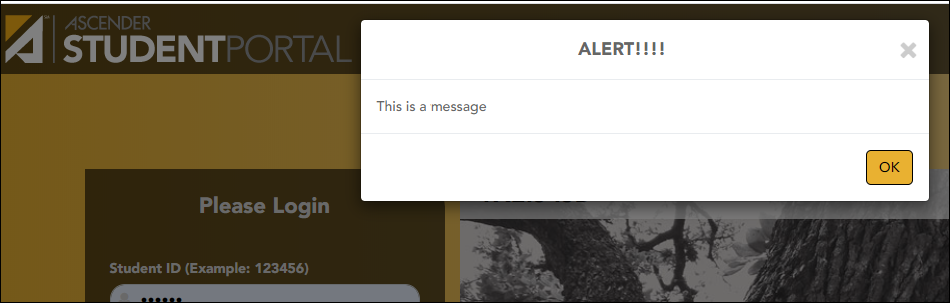 Alert message pop-up window